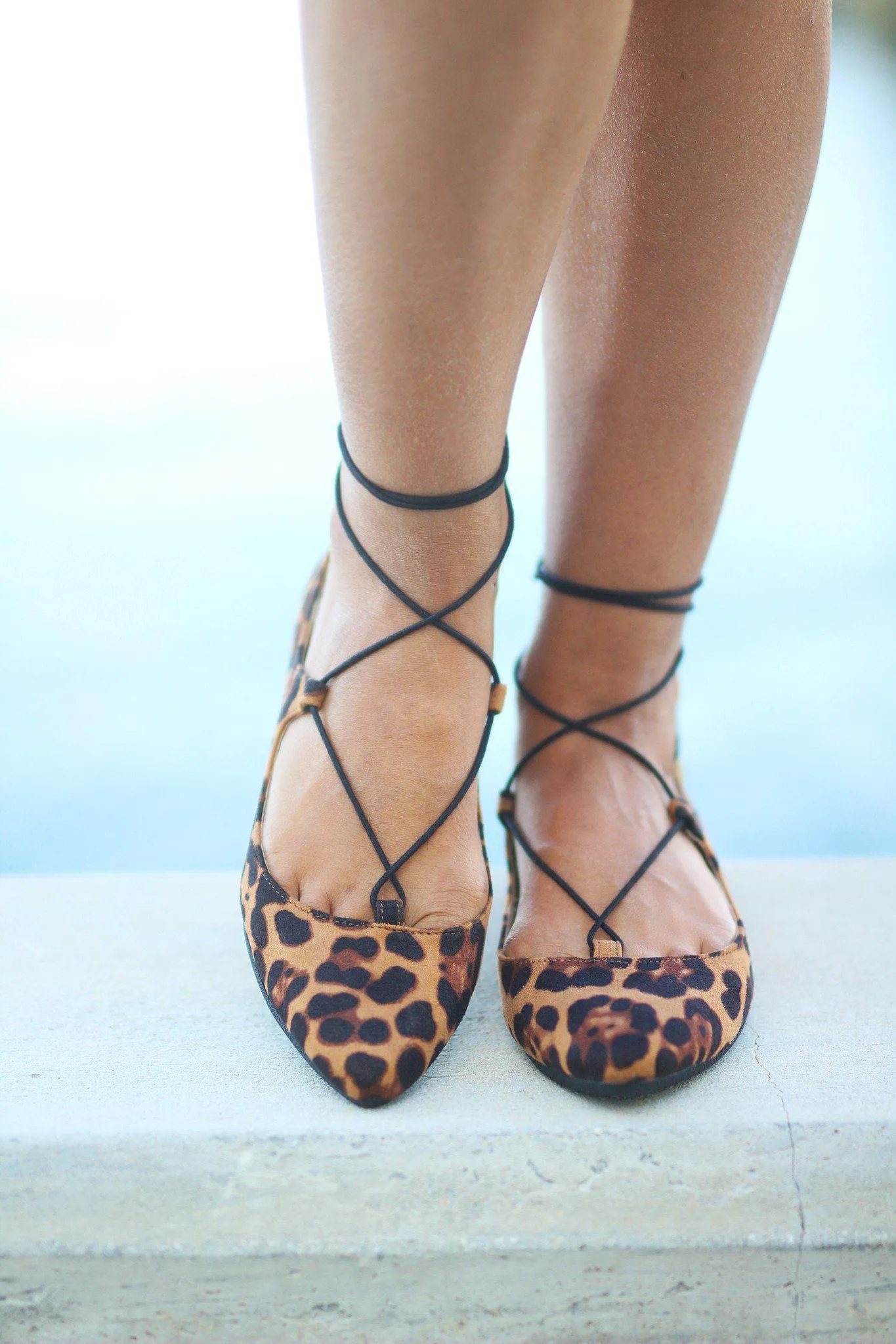 Leopard Lace Up Ballet Flats