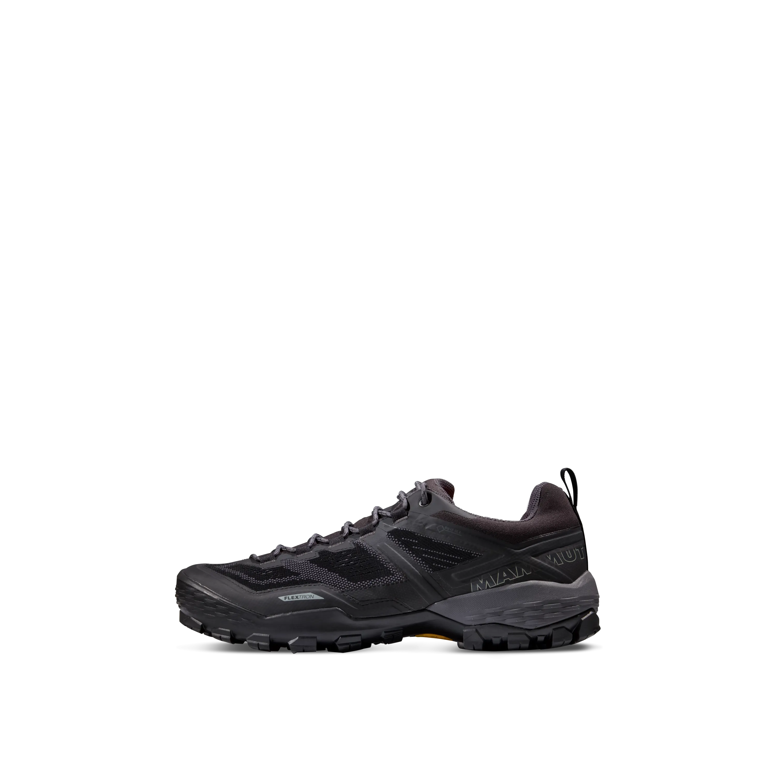 Men's Ducan Low GTX Hiking Shoes