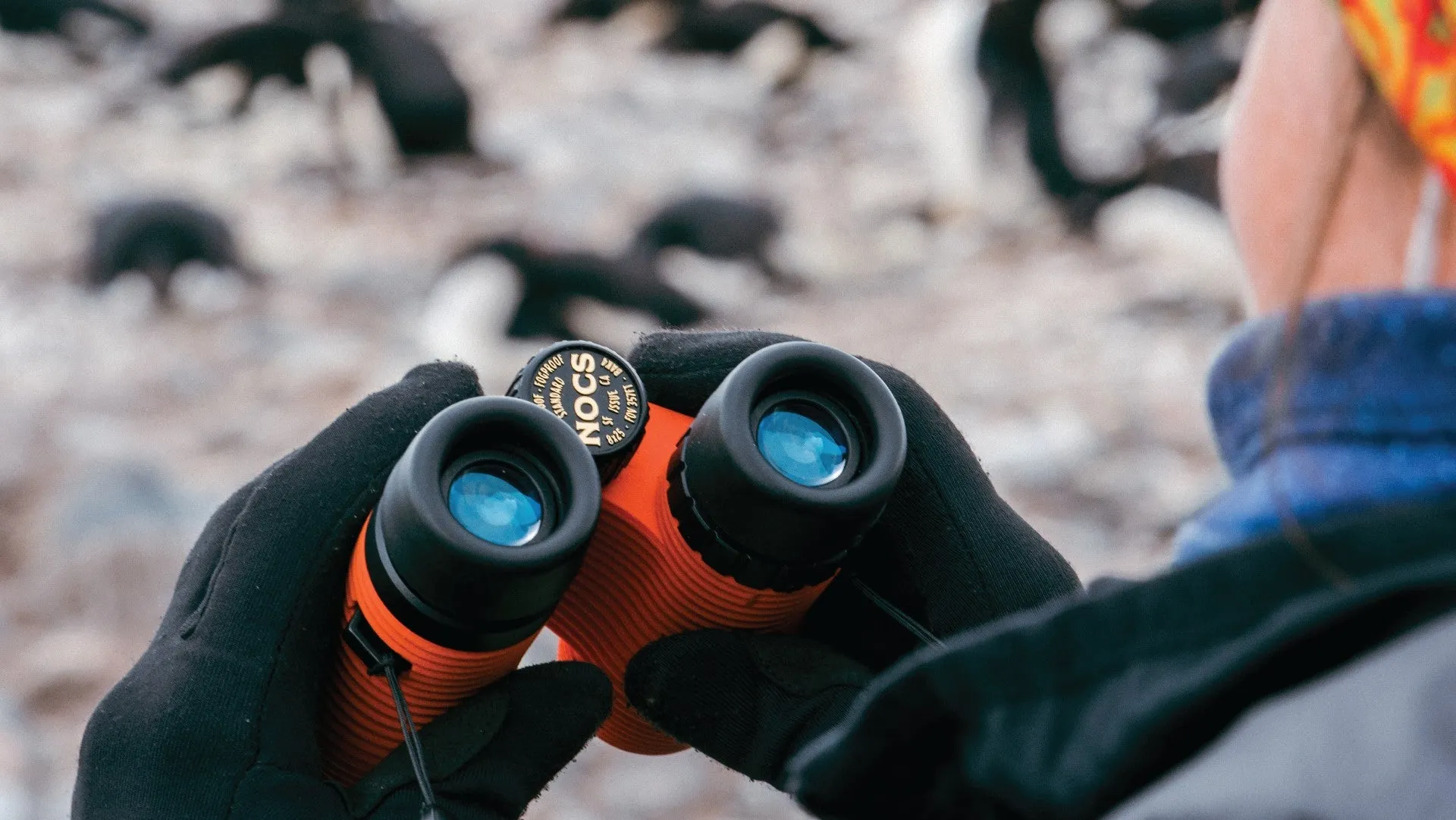 Nocs Standard Issue 8X Waterproof Binoculars - Canary