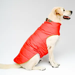 Skatrs Coral Red Puffer Reversible Jacket for Dogs and Cats | With Adjustable Baby Velcro