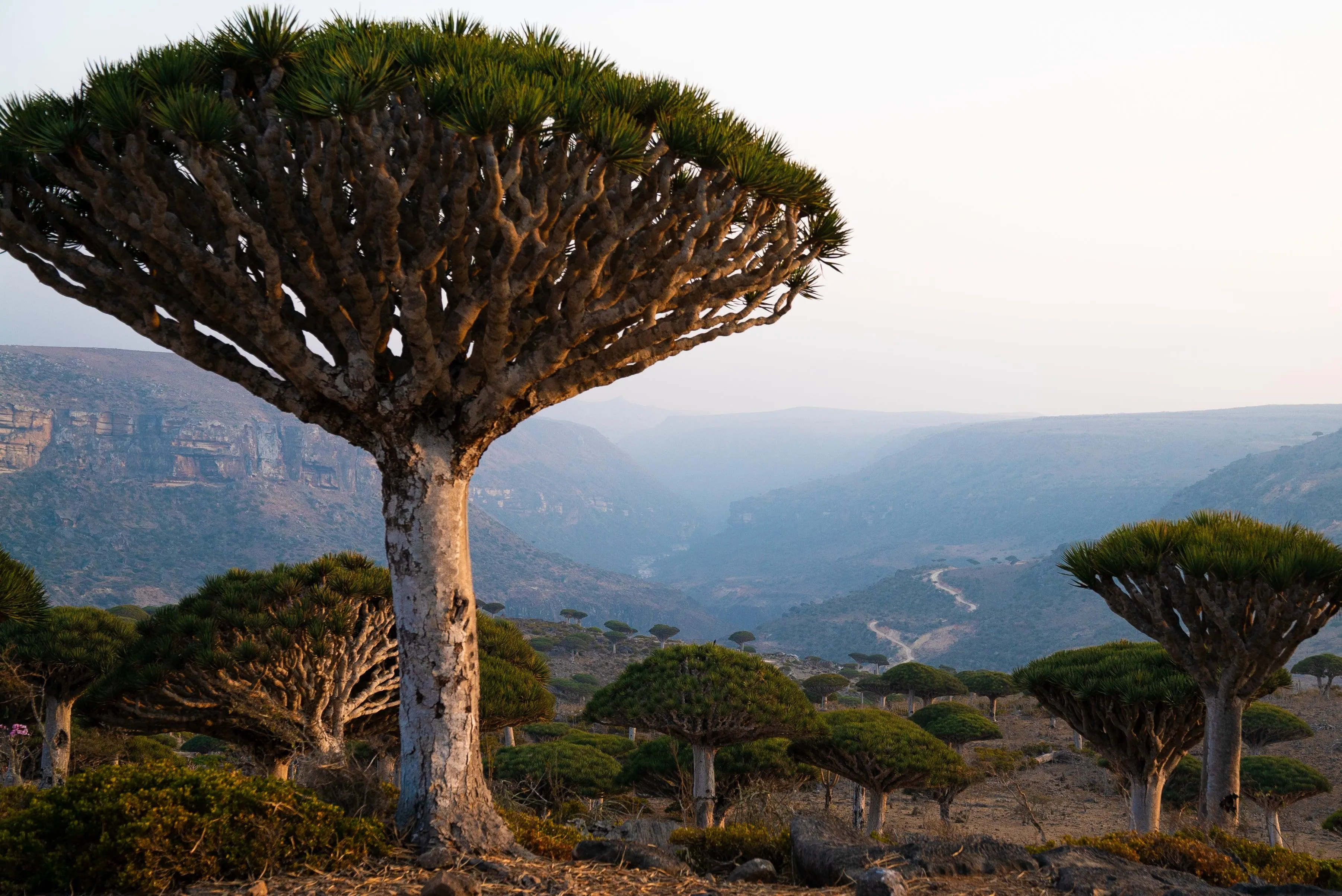 Socotra : Hiking & Boating