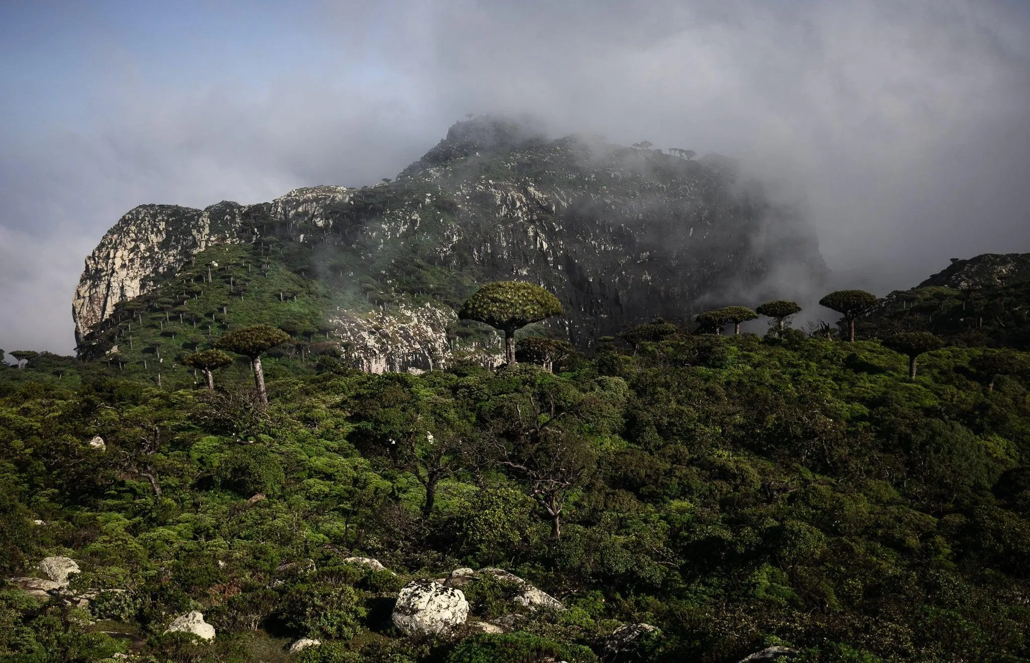 Socotra : Hiking & Boating