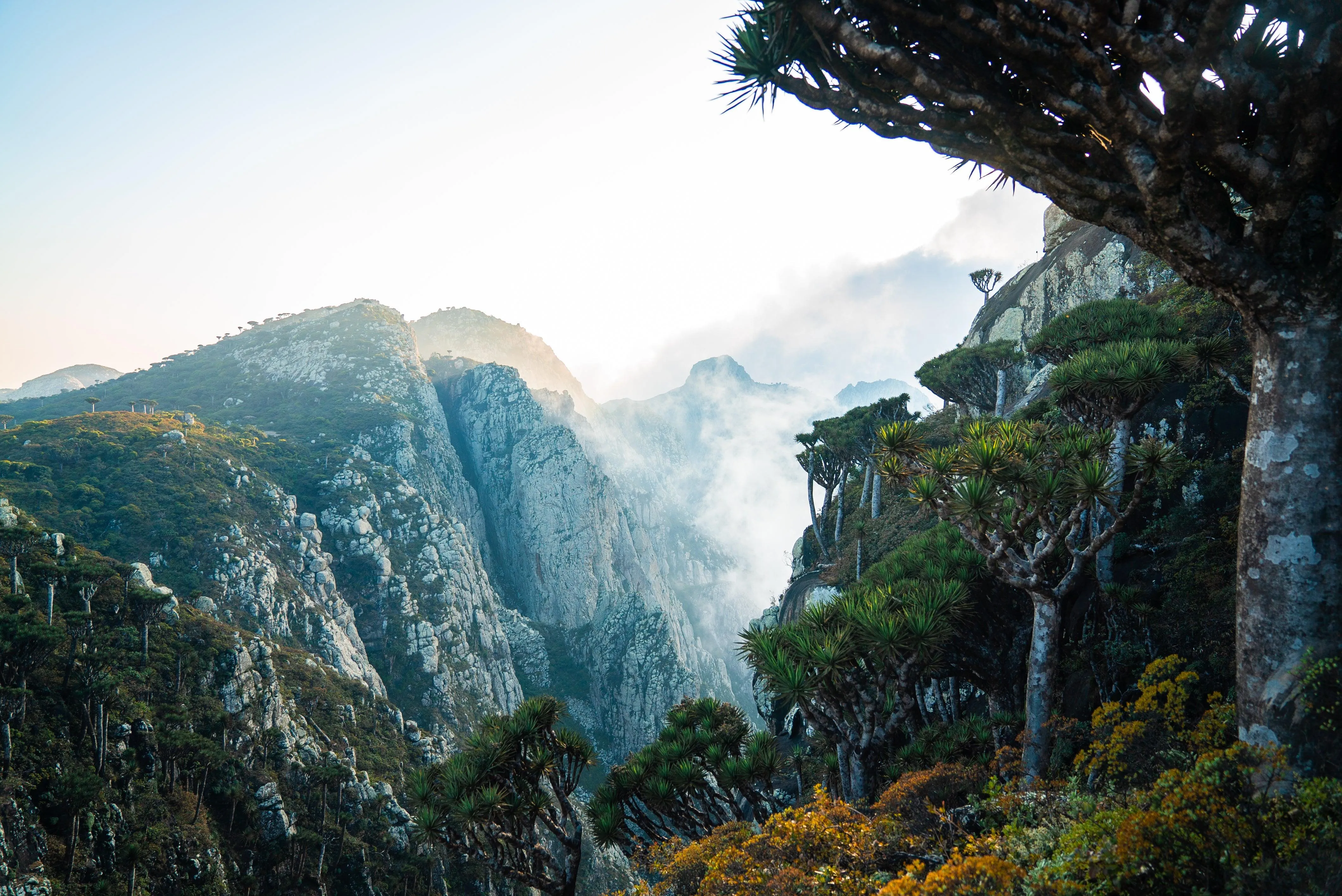 Socotra : Hiking & Boating