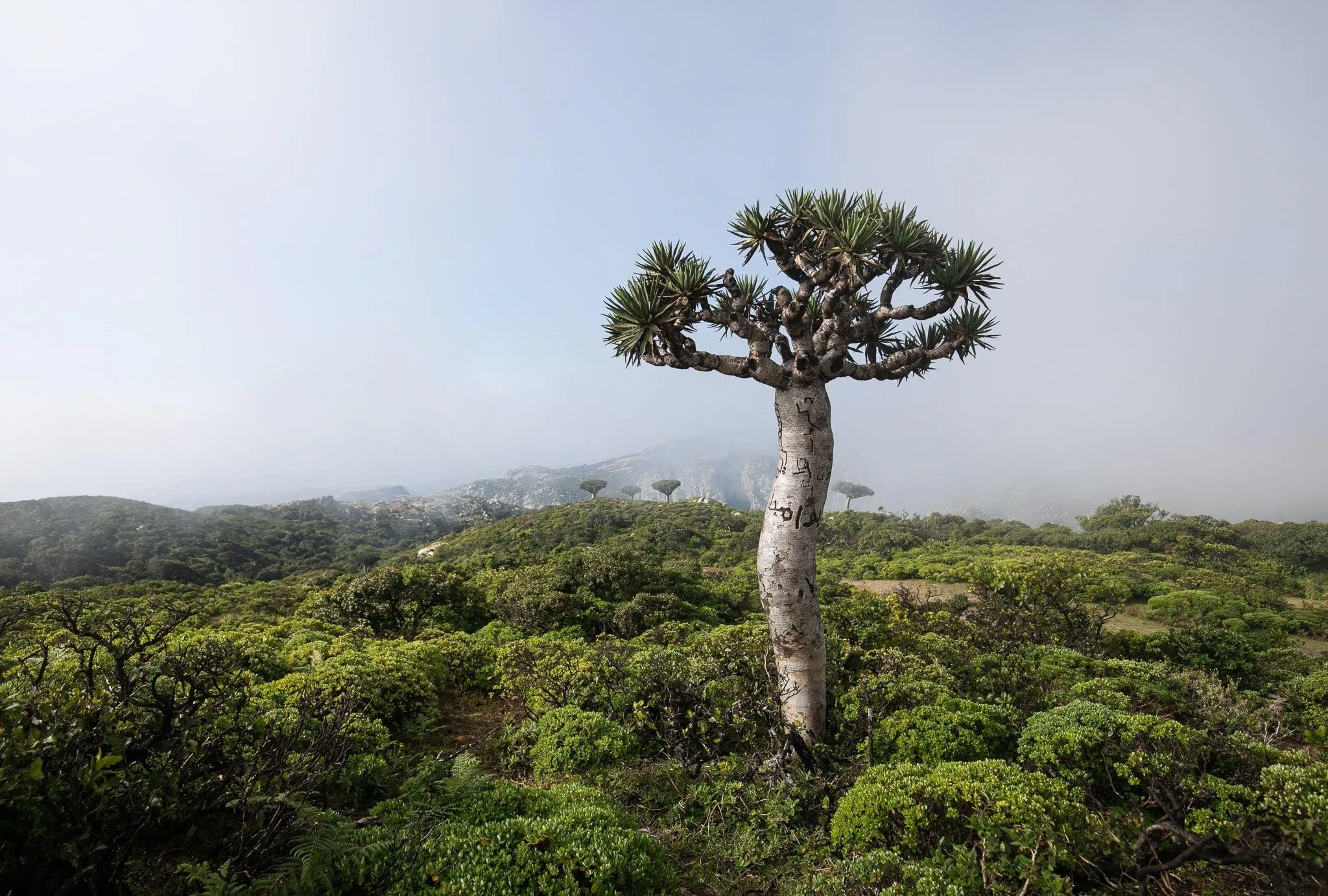 Socotra : Hiking & Boating